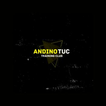 ANDINO BOX