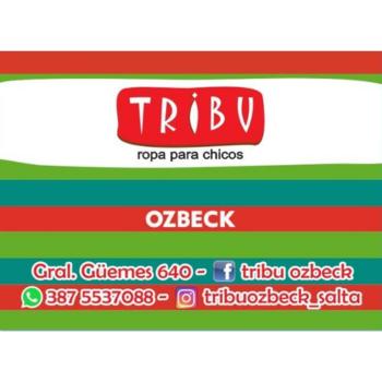 TRIBU ROPA DE CHICOS