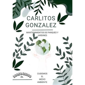 CARLITOS MANTENIMIENTOS